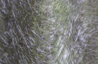 Rosemarket fibreglass roof work